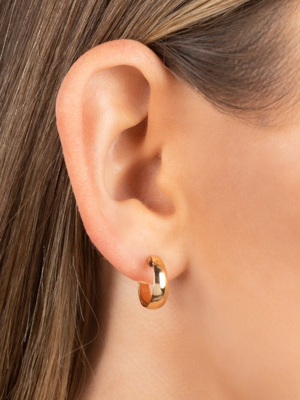 Paparazzi Earrings (EH110)